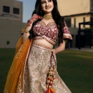 Multi Color Net  Lehenga Set